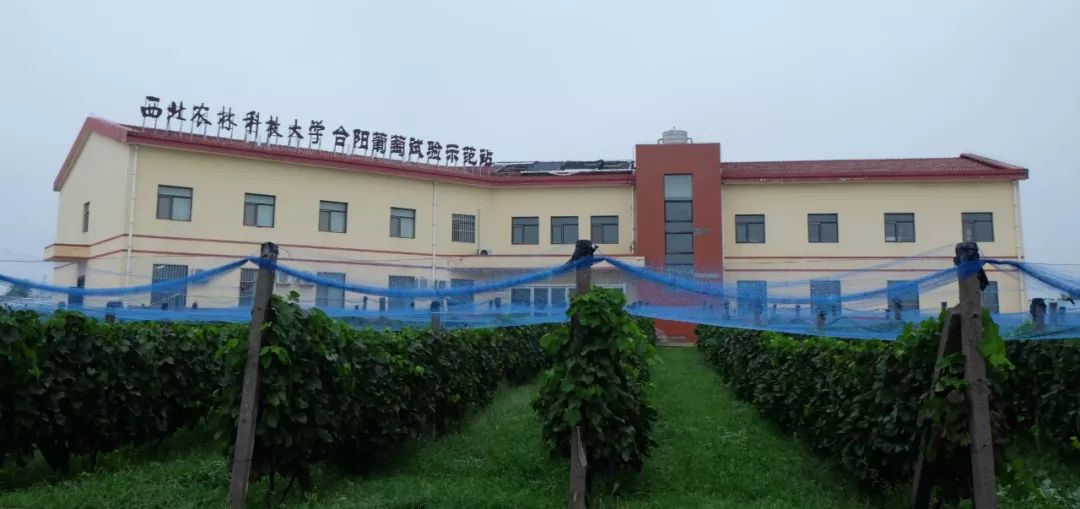 KAIYUN体育-2024年成都蓉城夏窗